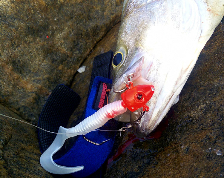 Curly Tail Soft Bait with Lead Jig Head, 18–50 g (0.6–1.8 oz) – product photo