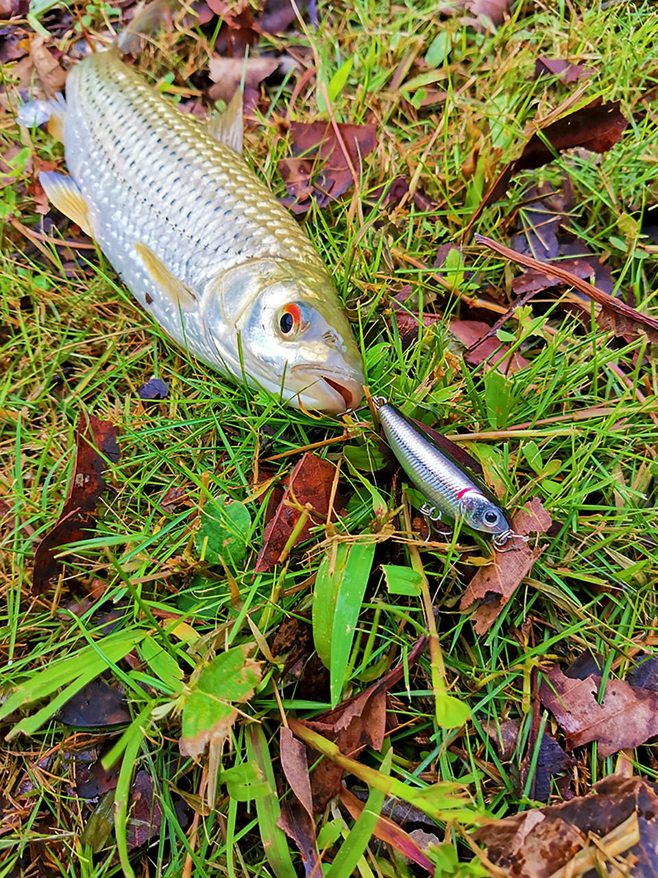Mini Floating Pencil Topwater Lure – product photo