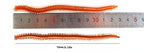 Sea Worm Soft Bait, 13 cm (5.1 in), 10 or 20 Pack – product photo