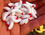 Mealworm Soft Bait Lures, Red Head, 100 pc Box – product photo