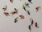 Blue-Head Ant Fly Hooks, Sizes 8–18 – product photo