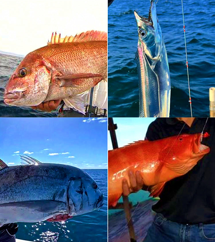 4X Strong Treble Hooks with Spinner, Sizes 1, 2, 4 – product photo