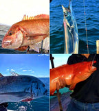 4X Strong Treble Hooks with Spinner, Sizes 1, 2, 4 – product photo