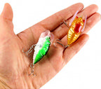 Cicada Topwater Popper Lure, 5.5 g (0.19 oz), Floating – product photo