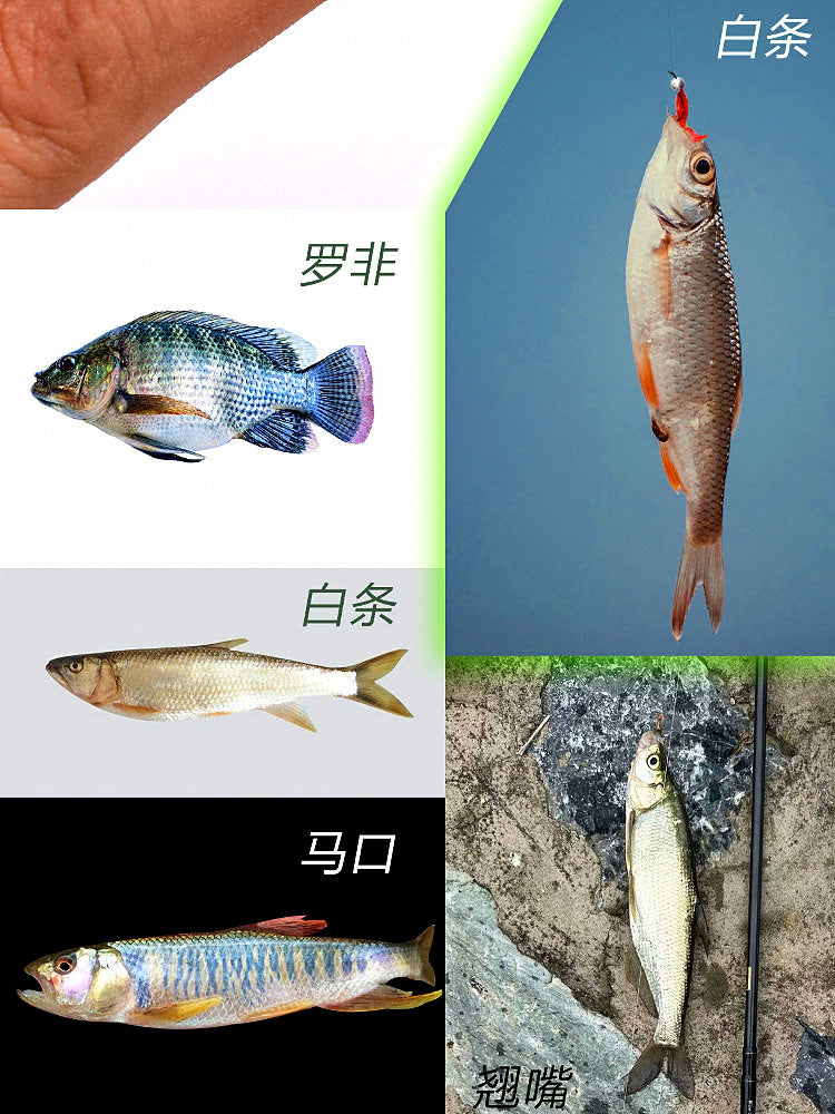 1 cm Micro T-Tail Soft Bait, 20 or 50 Pack – product photo