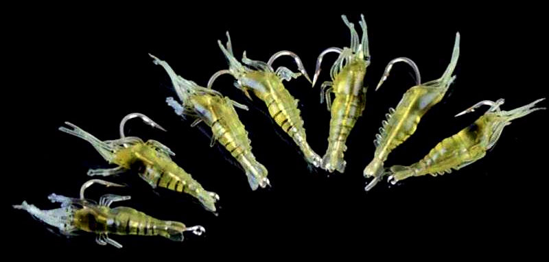 Glow Soft Shrimp Lure with Hook, 4 cm (1.6 in), 10 Pcs – product photo