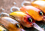 Deep Diving Long Lip Minnow Plug, 11.3–19.7 g (0.4–0.7 oz) – product photo
