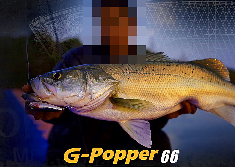 Topwater Walking Pencil Bait, 9.3–12 g (0.33–0.42 oz) – product photo
