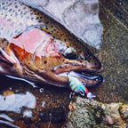 Micro Slow Sinking Minnow Lure, 30 mm (1.2 in) 3 g (0.11 oz) – product photo