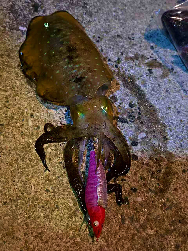 Wood Shrimp Squid Jig, No. 3.0, Luminous Squid Hook – product photo