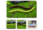 Sandworm Soft Bait, 14 cm (5.5 in), 8-40 Pack – product photo