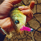 Micro Soft Plastic Baits, Pin Tail & T-Tail, 4–5 cm (1.6–2 in) – product photo