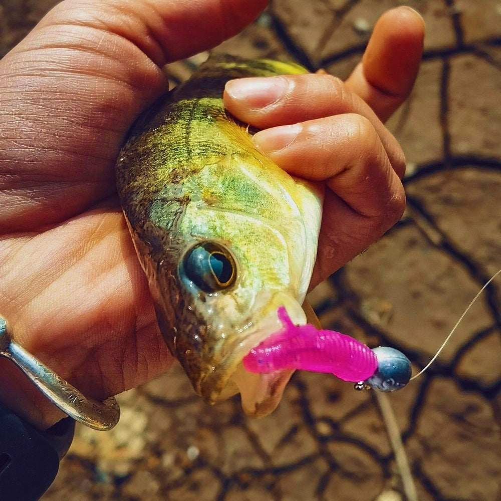 Micro Soft Plastic Baits, Pin Tail & T-Tail, 4–5 cm (1.6–2 in) – product photo
