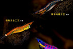 Fast Sinking Squid Jig Egi, 3.5 Size, 135 mm, 25 g (0.9 oz) – product photo