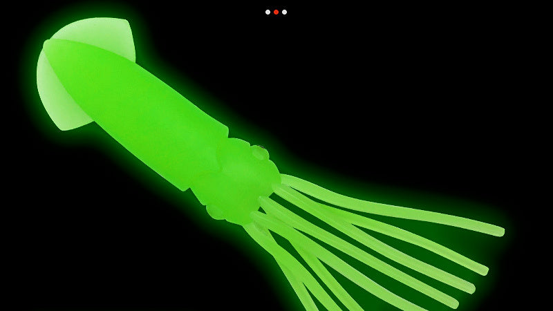 Glow Soft Squid Bait, 6.5–23 cm (2.6–9 in) – product photo