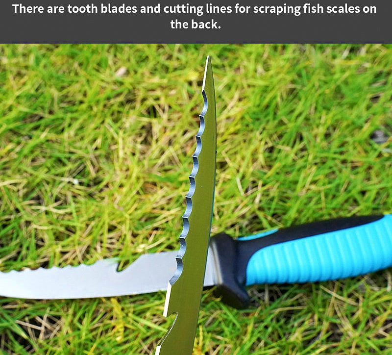 Stainless Steel Fish Fillet Knife, 13 cm (5.1 in) Blade – product photo