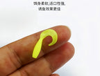Mini Curly Tail Grub Soft Plastic Lure, 2.5–3.5 cm (1–1.4 in) – product photo