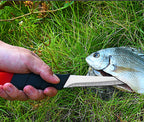 Floating Fish Boning Knife, 13 cm (5.1 in) Blade – product photo