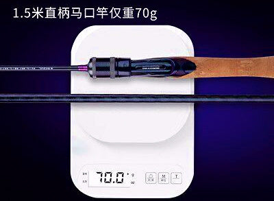 Ultralight Micro Lure Rod, 1.8 m (5 ft 11 in), 2-Piece – product photo