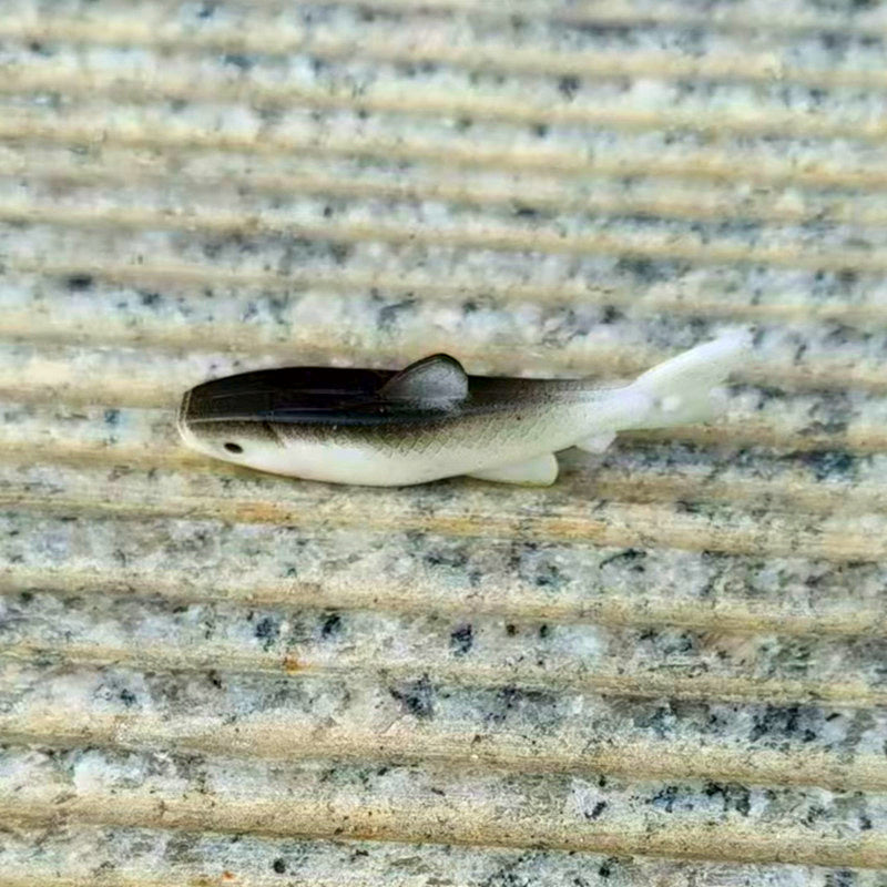 Soft Plastic Lures, 4.5 cm (1.8 in) 1.2 g, 50-Pack – product photo