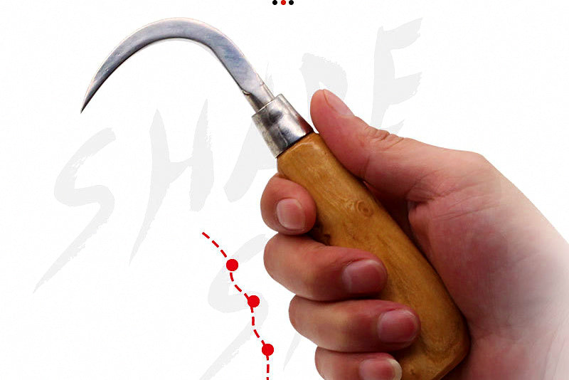 Stainless Steel Fish Gaff Hook with Wood Handle, 16-35 cm – product photo