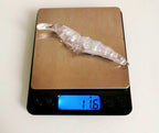 Clear Sinking Shrimp Lure Blank, 10 cm (3.9 in), 11.6 g (0.4 oz) – product photo