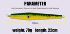 Wooden Floating Pencil Bait, 70 g (2.5 oz), 22 cm (8.7 in) – product photo