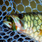 Ned Rig Shrimp Soft Bait, 2 in (5 cm), 4 g (0.14 oz)
