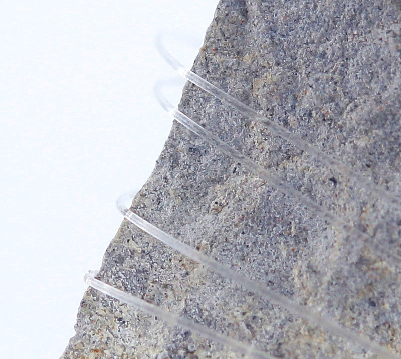 Barbless Pre-Tied Double Hook Rigs, 20-Pack – product photo