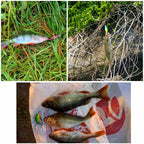 Floating Minnow Hard Bait Lure, 3.8 g (0.13 oz) – product photo