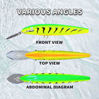 Long Lip Sinking Minnow Lure, 117 mm (4.6 in), 29 g (1 oz) – product photo