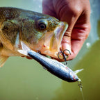 8 cm Soft-Body Minnow Lure, 8.8 g (0.31 oz) – product photo