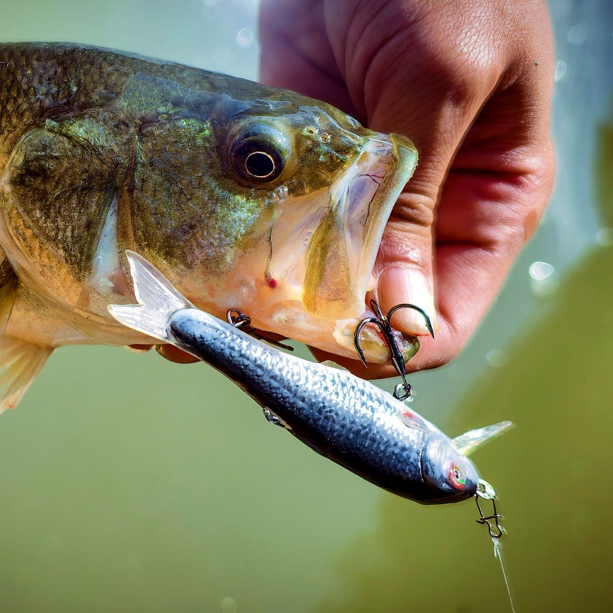 8 cm Soft-Body Minnow Lure, 8.8 g (0.31 oz) – product photo