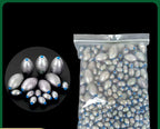 Plastic-Core Olive Sinkers, 0.04–5.29 oz (1–150 g) – product photo