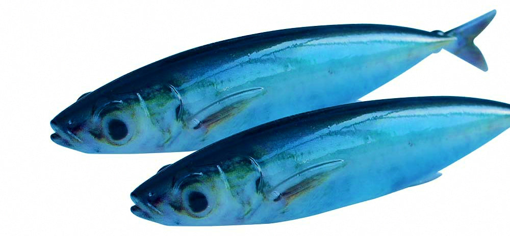 Soft Swimbait Lure, 15 cm (5.9 in) 33.5 g (1.2 oz), PVC – product photo