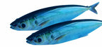 Soft Swimbait Lure, 15 cm (5.9 in) 33.5 g (1.2 oz), PVC – product photo