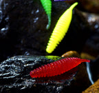 Needle Tail Soft Plastic Worm, 5 cm (2 in), 1 g (0.04 oz) – product photo