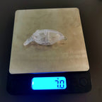 Unpainted DIY Crankbait Blank, Floating, Rattle, 7 g / 10 g – product photo