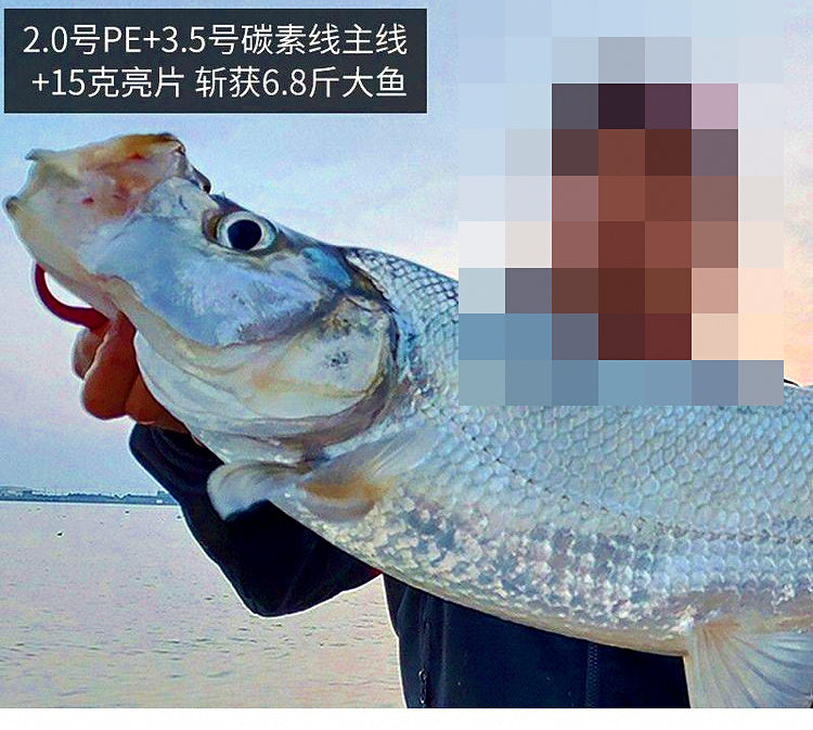 Nylon Fishing Line, Main Line or Leader, 120/220 m Spools – product photo