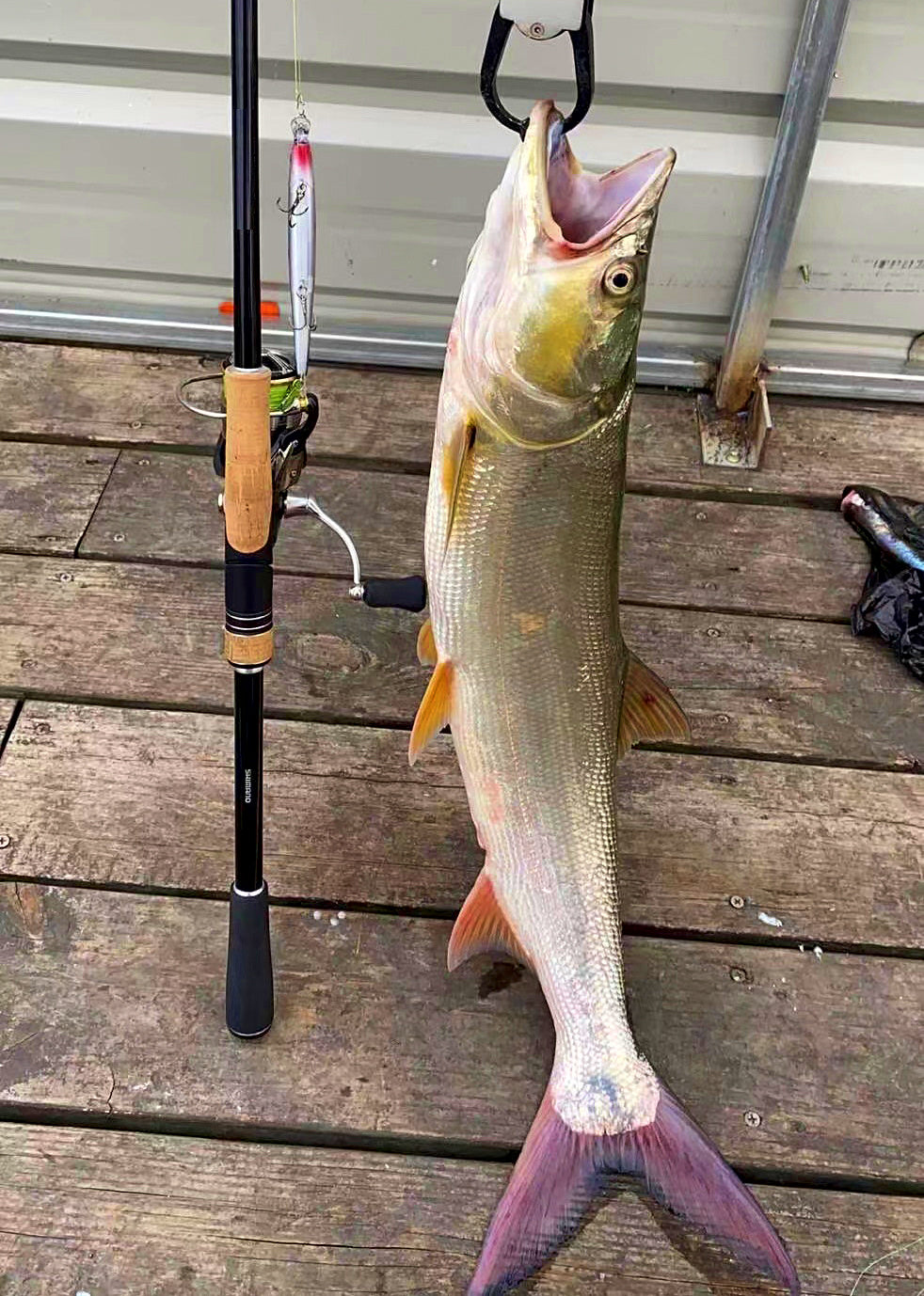 Floating Minnow Lure, 13.7 cm (5.4 in), 14 g (0.5 oz) – product photo