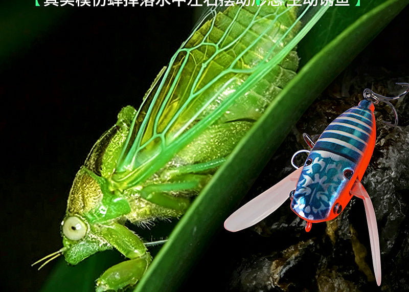 Cicada Topwater Crawler Lure, 6.5 g (0.23 oz) / 9.5 g (0.34 oz) – product photo