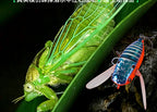 Cicada Topwater Crawler Lure, 6.5 g (0.23 oz) / 9.5 g (0.34 oz) – product photo