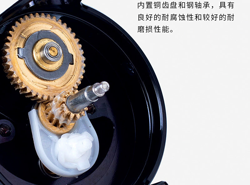 6000 Front Drag Spinning Reel, 8+1 Bearings, Gold – product photo