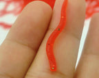 Red Worm Soft Bait, 3.6 cm (1.4 in), 500 g Bulk Bag – product photo