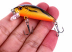 Floating Micro Minnow Lure, 5 cm (2 in), 3.6 g (0.13 oz) – product photo
