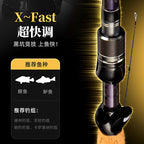 Carbon Worm Rod, Extra Fast, 2-Piece, 1.98–2.4 m (6.5–7.9 ft) – product photo