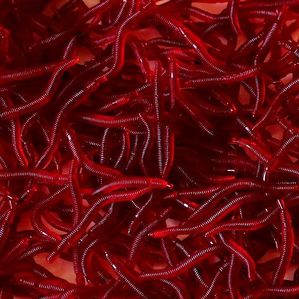 4 cm Worm Soft Bait, 100 Pack, Red or Glow – product photo