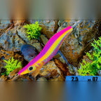 Glow UV Egi Squid Jig, Size 2.5, 10 g (0.35 oz)