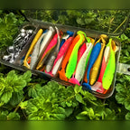 Soft Plastic Paddle Tail Lure Kit with Jig Heads, 50 pc