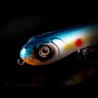 Hard Minnow Lure for Saltwater, 100 mm 16 g (0.56 oz)